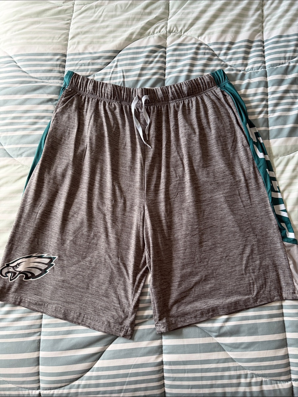 Philadelphia Eagles Men’s Shorts